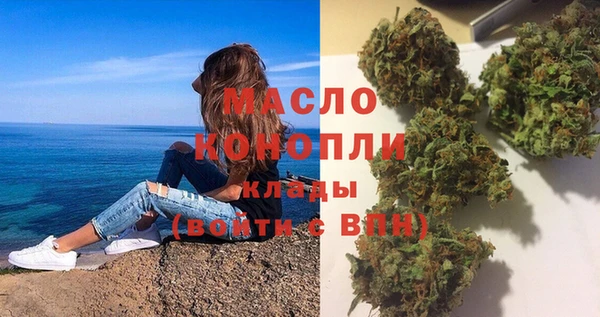 индика Нея