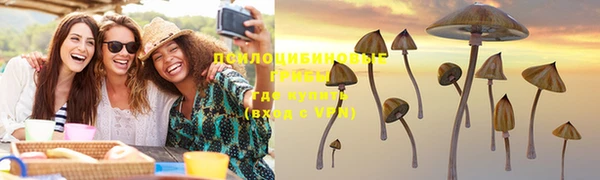 прущие крисы Куйбышев