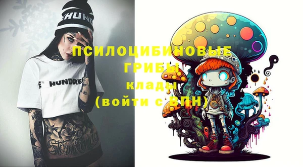 спиды Нефтекумск
