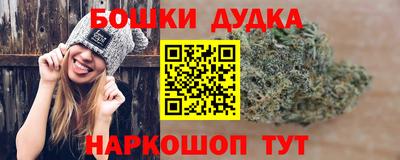 spice Кунгур