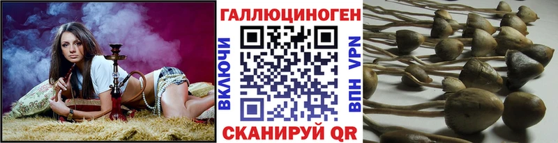 hydra маркетплейс  Новый Уренгой  Галлюциногенные грибы Psilocybine cubensis 