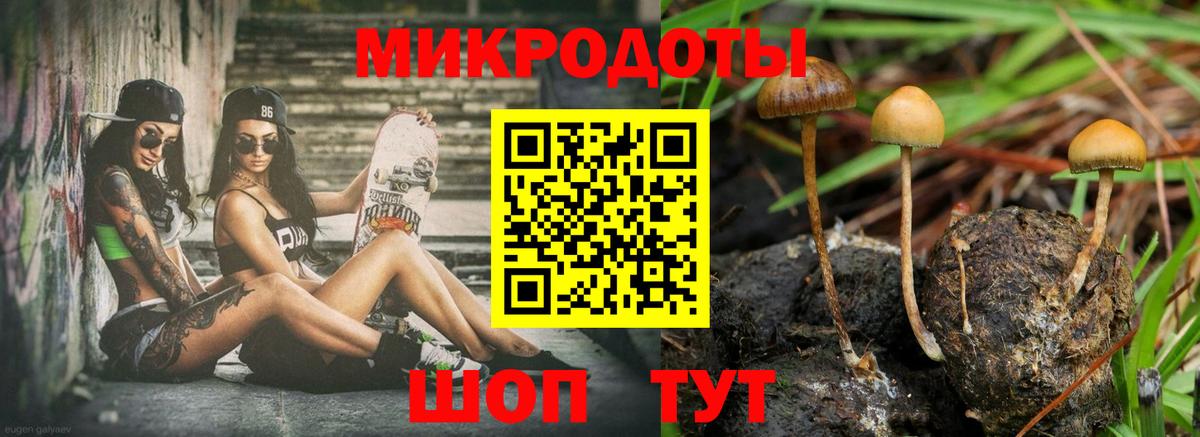 Галлюциногенные грибы Cubensis  Вход с VPN  Новый Уренгой 