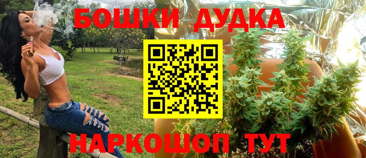 Новый Уренгой  Шишки марихуана план  Вход с VPN  Каннабис сатива 